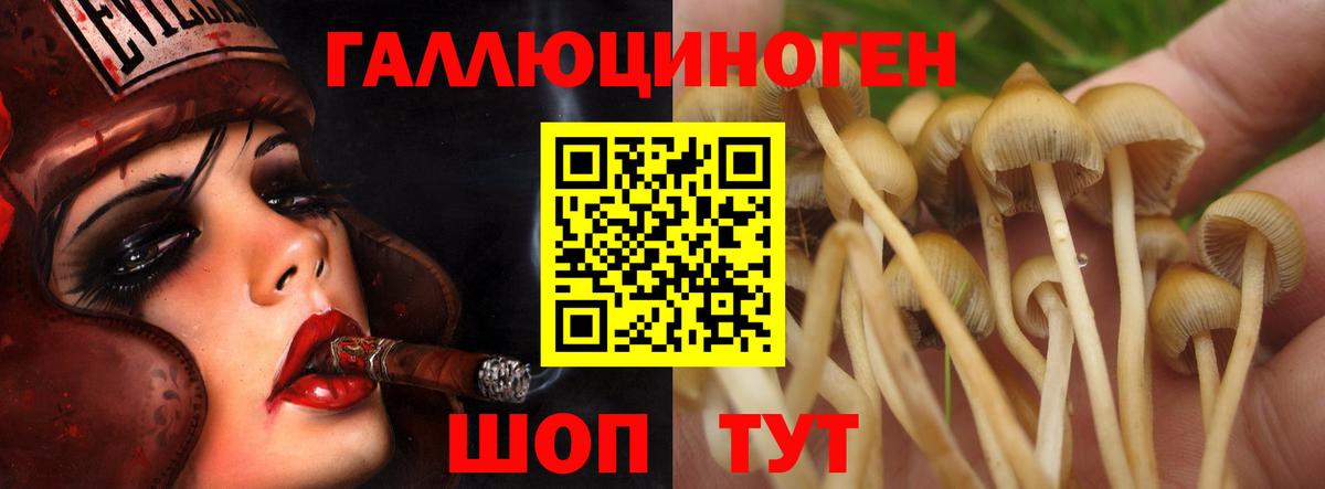 где найти наркотики  Псилоцибиновые грибы мицелий  Вход с VPN  Галлюциногенные грибы GOLDEN TEACHER  Можга 